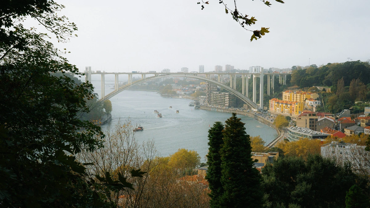 Portfolio Foto